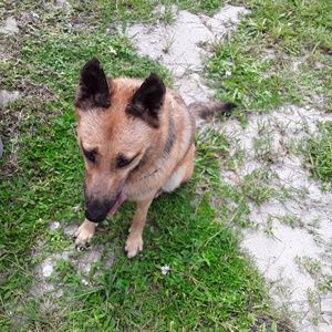 Meet your Posher, Jasmine